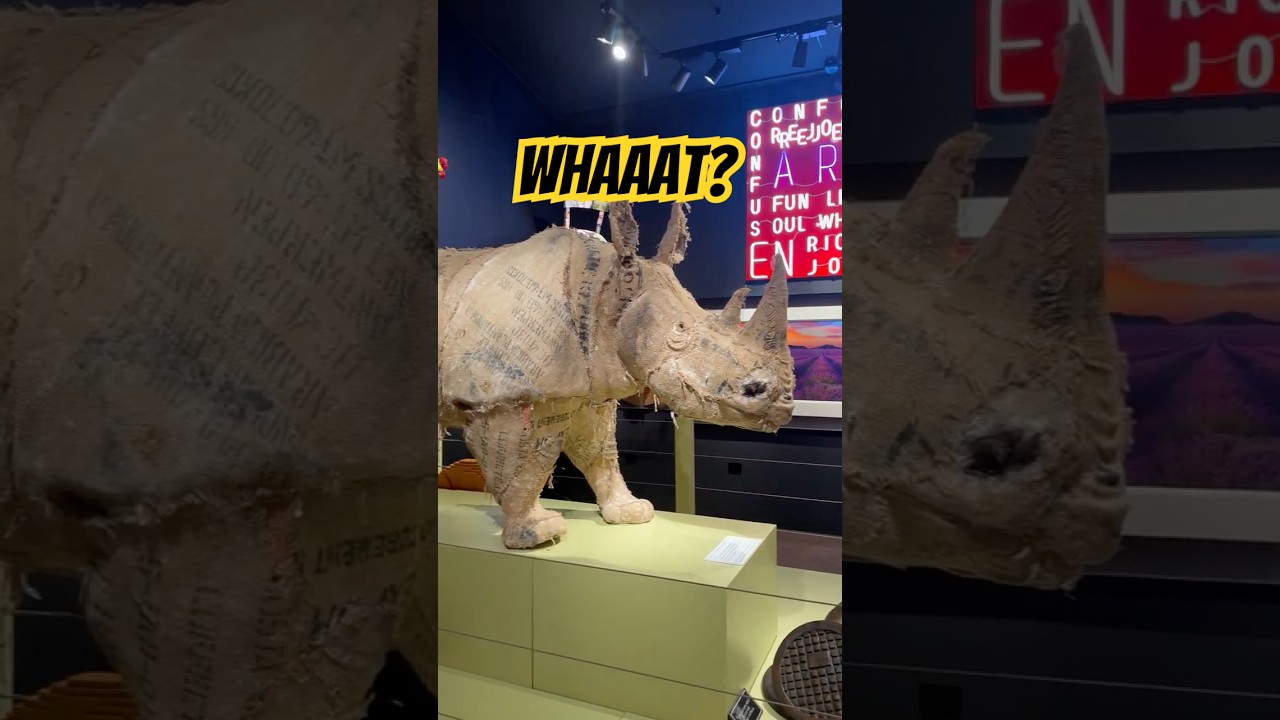 A Life-Size Rhino? Inside Sculptureum’s Gallery 😍 Panning Past Artworks