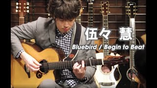 伍々 慧 Satoshi gogo Instore live - Bluebird / Begin to beat - Dolphin Guitars chords