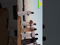 أمجد صابر بدري شيب 