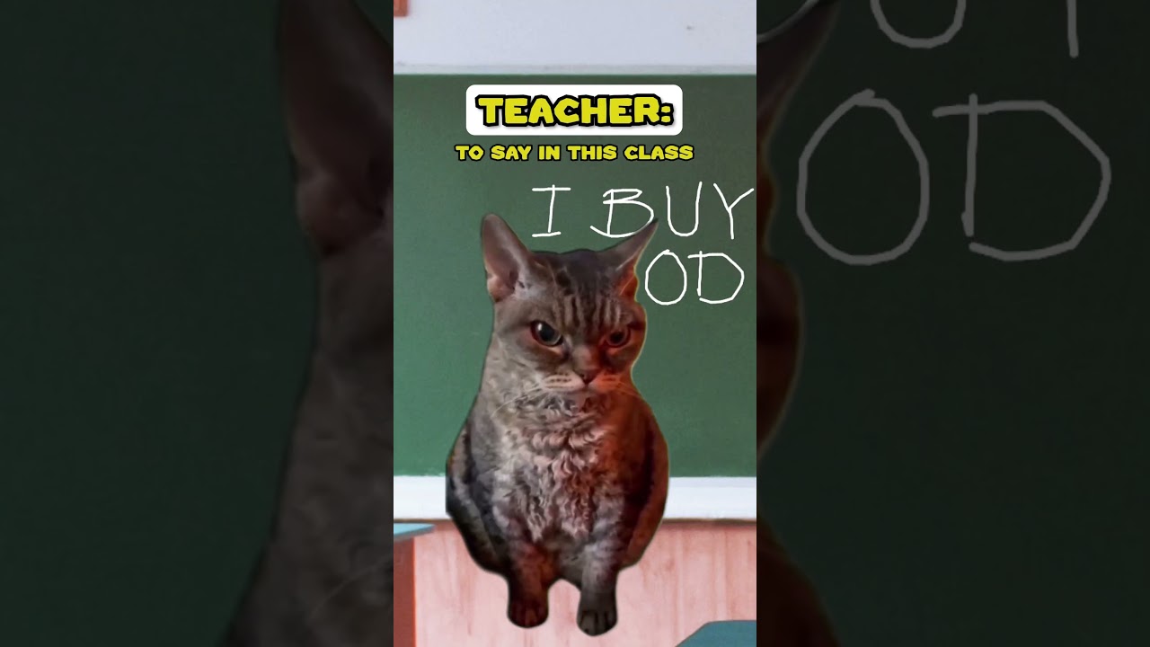 English Class With The Class Clown (Cat Meme🐈) 