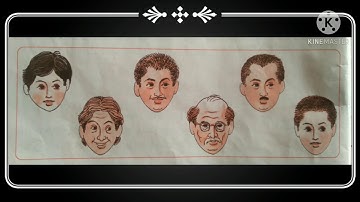 Similarity and Differences std-1 EVS