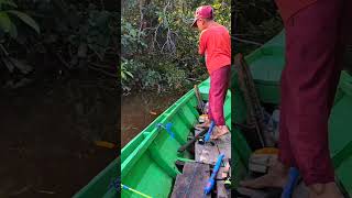 heboh sekali anak ini medapatkan udang galah besar #shots #mancing #mancingmantap #mancingikan