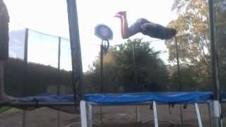 Tallin And Alex | Tramp Edit 2
