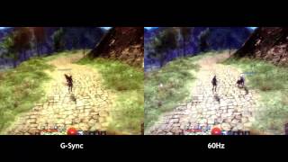144Hz compared to 60Hz vsync (240 FPS 