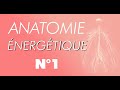 001 anatomie nergtique n1