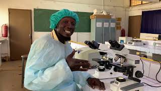 Comment Reconnaître Et Différencier Les Globules Rouges Et Les Globules Blancs À Létat Frais