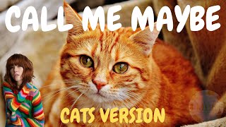 Cats Sing Call Me Maybe by Carly Rae Jepsen | Cats Singing Song Parody