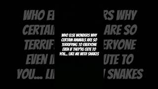 Who Else Wonders beats   dj