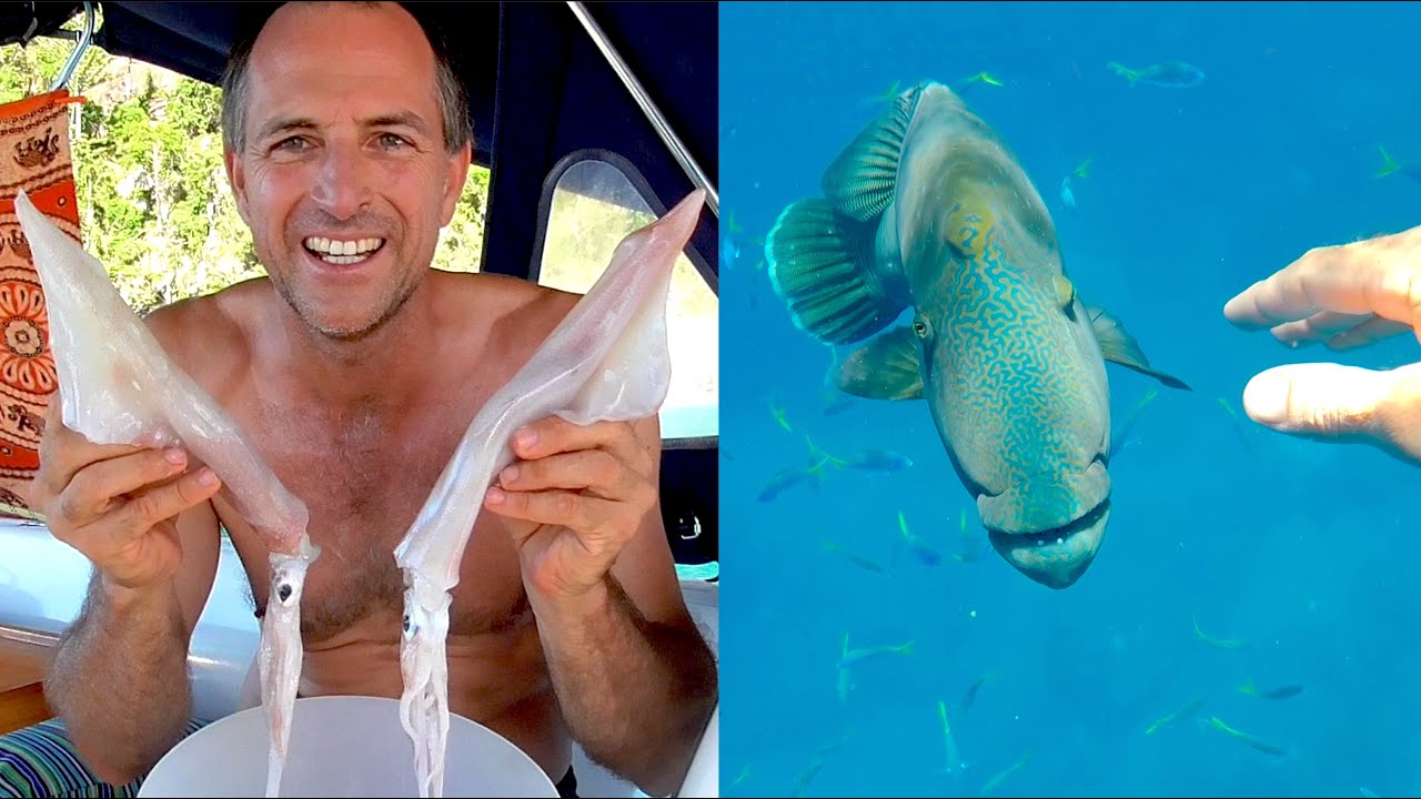 4 Day Whitsunday Island Diving & Squid Fishing Adventure EP.472