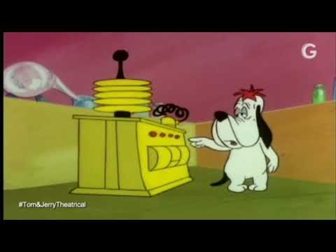 El Nuevo Show