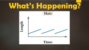 Haircut Graph Trick ✂️ | A Funny Way to Understand Functions