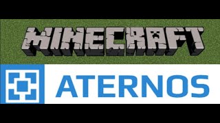 So machst du ein geldsystem in Minecraft (Aternos)