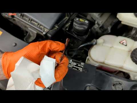2014-2024 Mercedes-Benz Vito Metris How To Add Engine Oil Diy W447