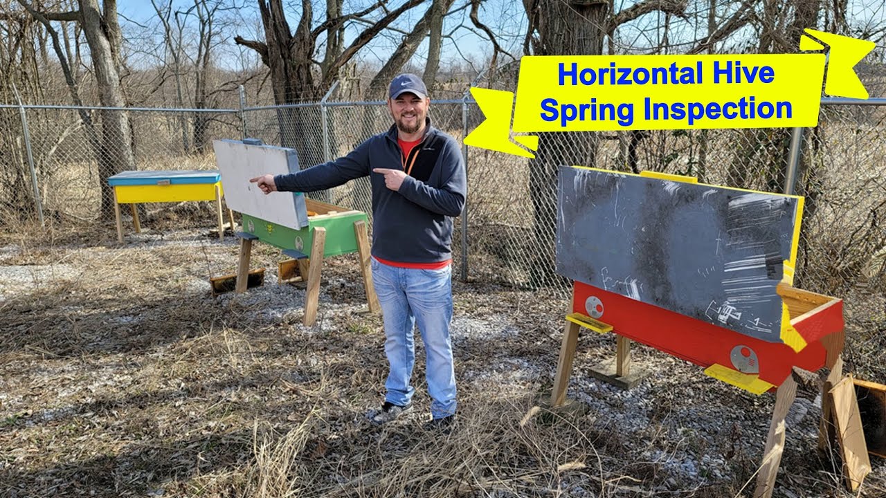 Horizontal Hive Spring Inspection