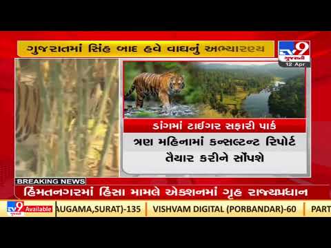 Dang to get Gujarat's first 'Tiger Safari Park'| TV9News