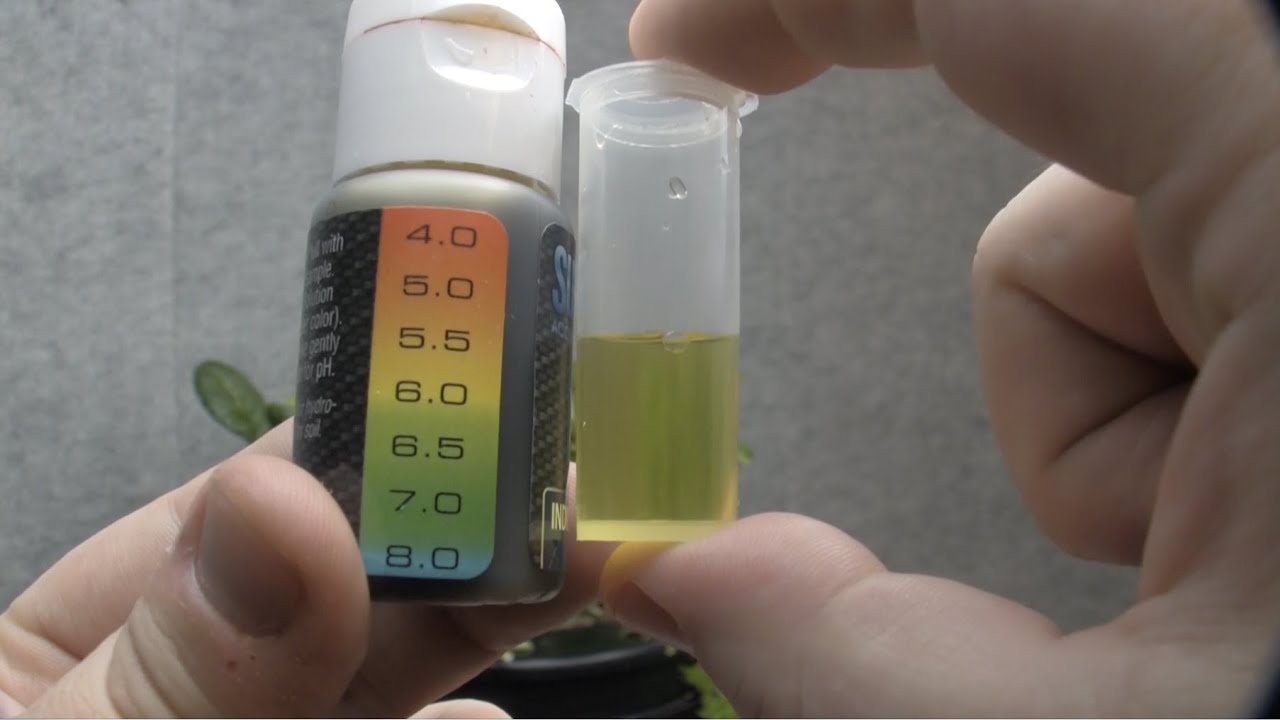 How to use the Sure Test pH Test Kit YouTube