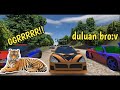 Mobil Phoenix dimodifikasi mirip harimau musuh auto takut!!|rally fury