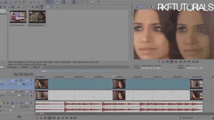 Sony Vegas Effect #5