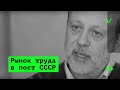 Специфика постсоветского рынка труда – Владимир Гимпельсон