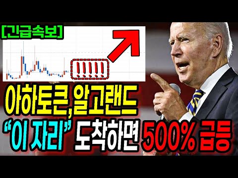 아하토큰 알고랜드 이 자리 도착하면 500 급등 