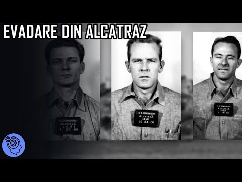 Video: Ce este o floare de Alcatraz?