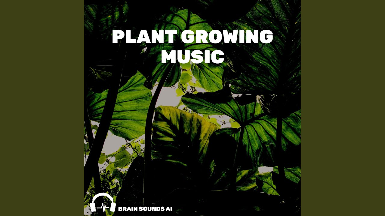 Music Helps Plants Grow YouTube Music