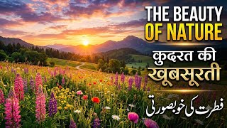 Gambar Alam 🌱 | Foto Profil Whatsapp | Cinta Hijau 💚 | Cinta Alam 🌴🌿 @islamicanimationvideos7247 
