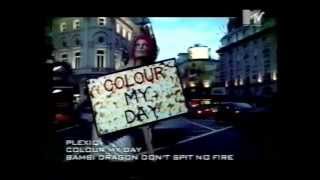 Plexiq - Colour My Day