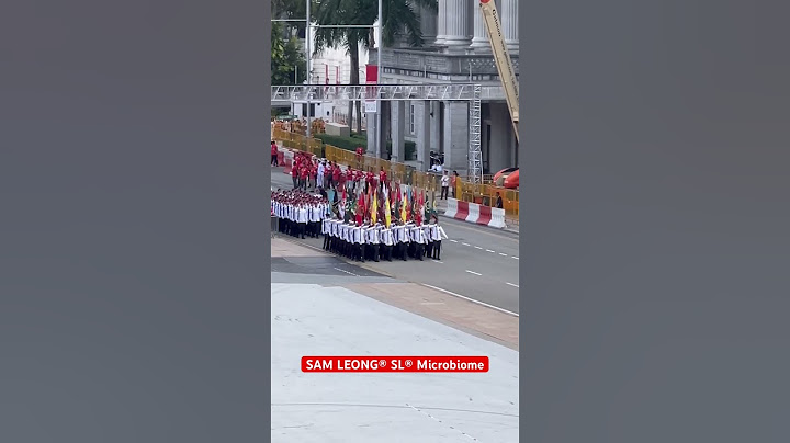 NDP 2024 Colours Party march #samleong #slmicrobiome