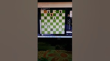 I bwat check the clown bot on chess.com