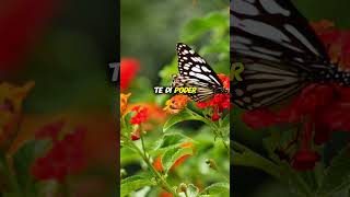 Camina con fe, Dios te dio poder y valentía. #Fe #Dios