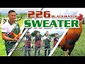 Sweater 226 blackwaterabello of jeyshi dimafelix  livestrong farm