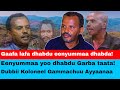 Kan Lafa Hin Qabne Eenyummaa Hin Qabu Kan Eenyummaa Hin Qabne Garba Dhaamsa Kan Lafa Hin Qabne Eenyummaa Hin Qabu Kan Eenyummaa Hin Qabne Garba Dhaamsa