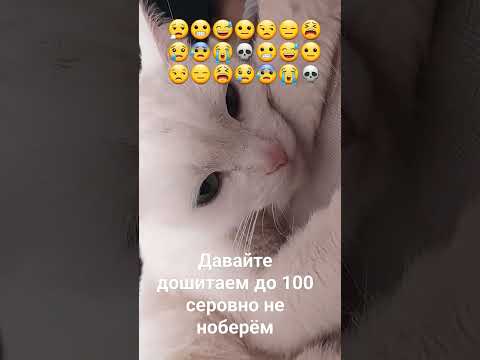 8 декабря 2023