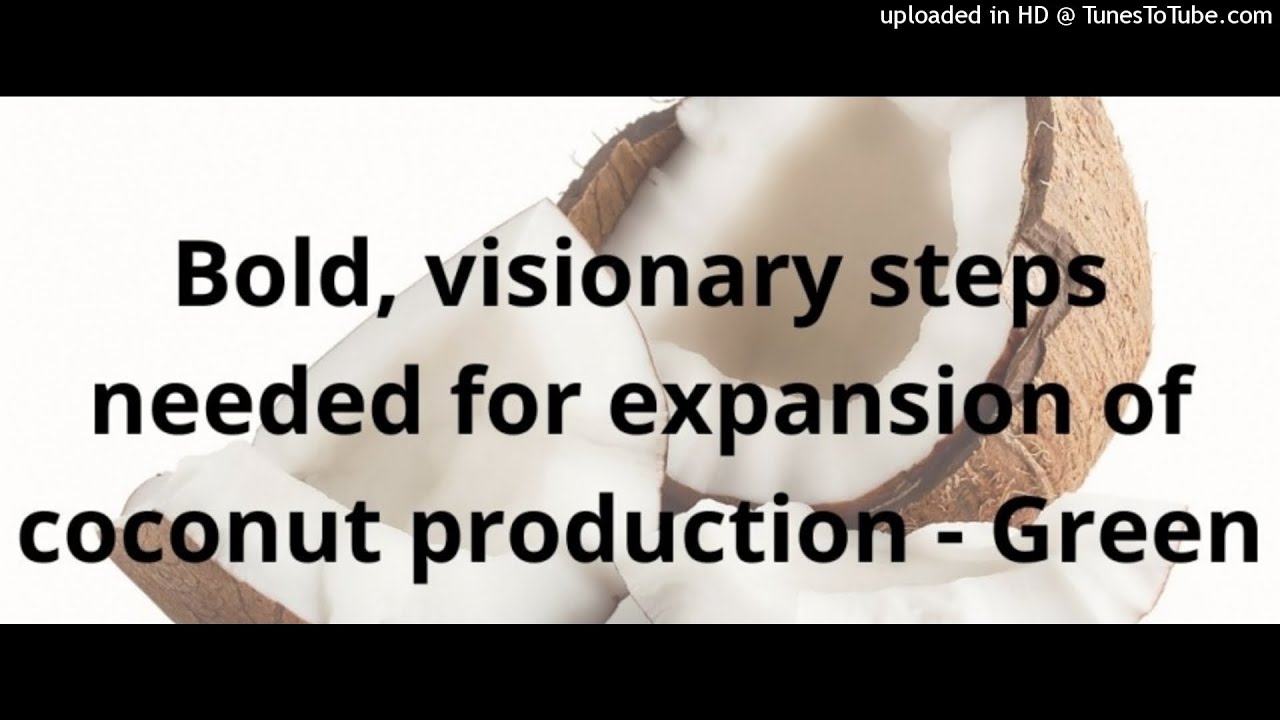 Bold steps needed to expand Jamaica's coconut industry YouTube