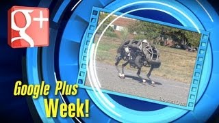 Google Plus Week 10/4/2013