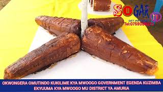 Abalimi Bekyilime Kya Mawoogo Bafunye Ku Sanyu Government Egenda Kuzimba Kyuuma Mu Amuria District
