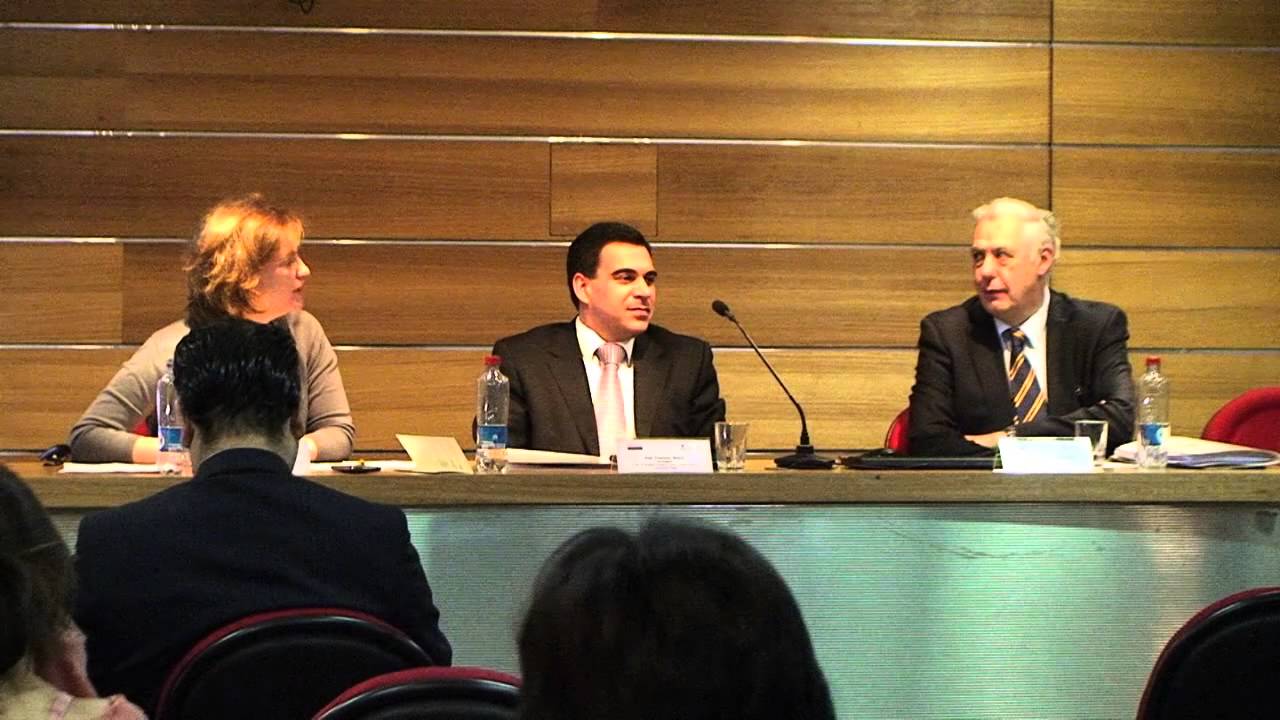 Preguntas Panel 1 Seminario “La Protección de los Derechos Humanos en Chile” (U. Mayor) mayorista de juguetes