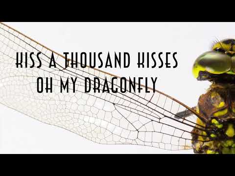 X-Perience - Dragonfly - Lyrics Video - 4K