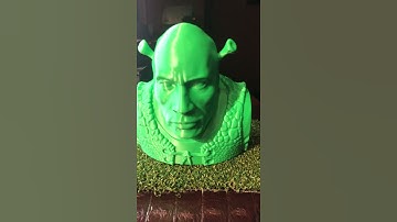 I Made the the rock in to Shrek￼🤣🤣🤣￼