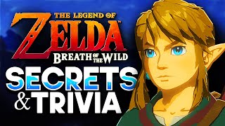 7 Secrets in Breath of the Wild You Might Not Know