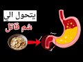 لا تأكل الشوفان إلا بعد مشاهدة هذا الفيديو لا تأكل الشوفان إلا بعد مشاهدة هذا الفيديو