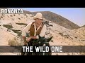 Bonanza - The Wild One | Episode 171 | Cowboy Series | Classic Series | WESTERN | English