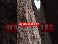 30 अक्तूबर 2025