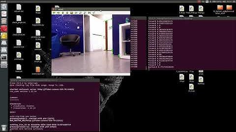 Visual Ego motion Maximum direction and the probability of the maximum direction in each frame