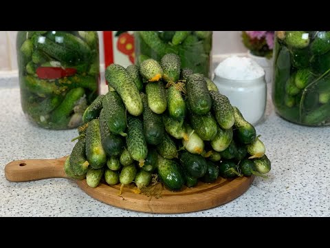 Video: Hoe Komkommers Goed Te Zouten Voor De Winter In Een Vat?