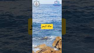 حالة البحر #fishing #fish #بحر #صيد #weather