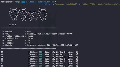 How to install and use ffuf tool in Kali Linux | ffuf tools