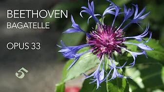 LUDWIG VAN BEETHOVEN - Bagatelle - OPUS 33 No 5
