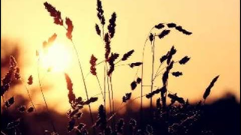 تلاوة القران الكريم كلام الله عز وجل لاجمل الاصوات